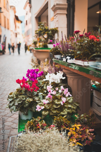 Fototapeta Naklejka Na Ścianę i Meble -  Flowers on an old Italian street in the city of Arco in focus. Street background blurred