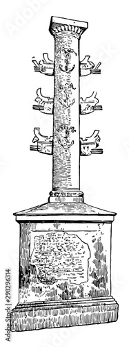 Column of Duilis vintage illustration.
