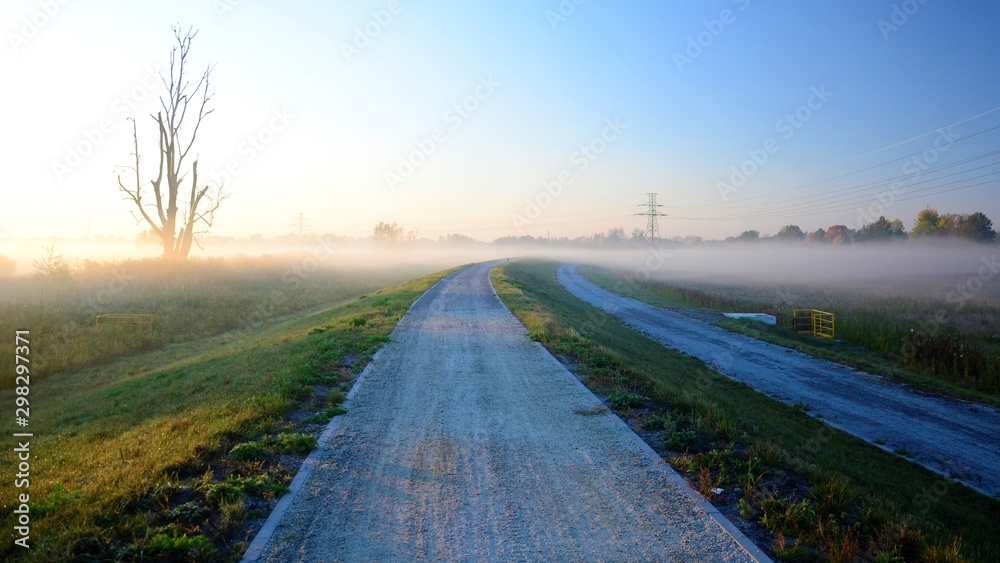 Like a Wonderland - Path through the Mist