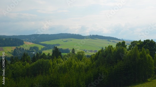 Polish Green Landscape