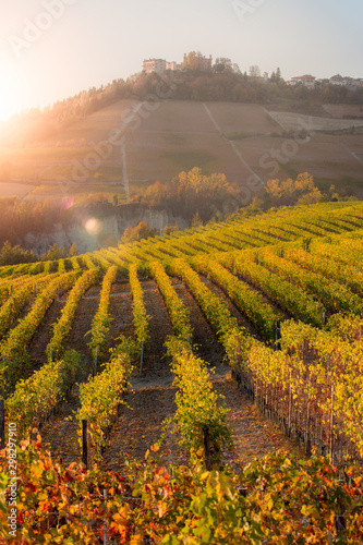 Langhe region, Piedmont, Italy. Autumn landscape with vineyards and rolling hills at sunset. photo