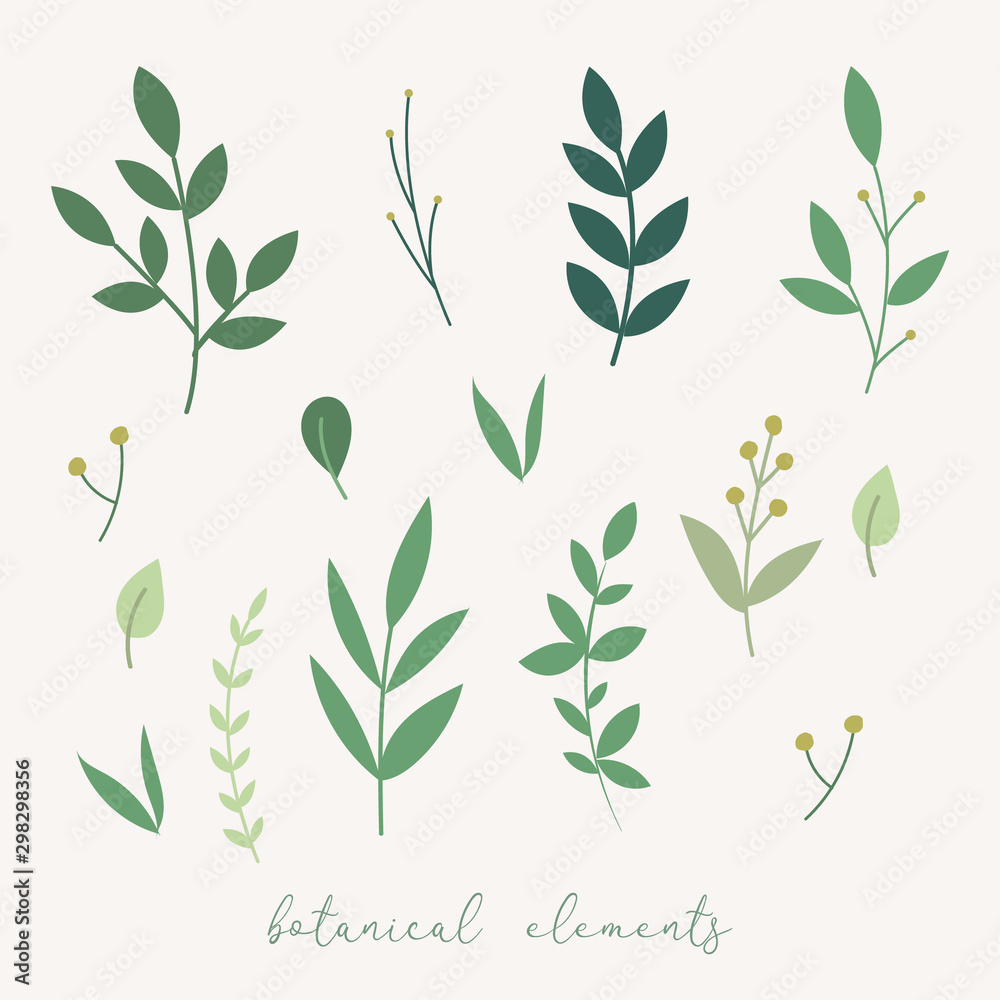 Vector botanical decoration elements. Floral leaves set. Vector botanical decoration elements. Floral leaves set.