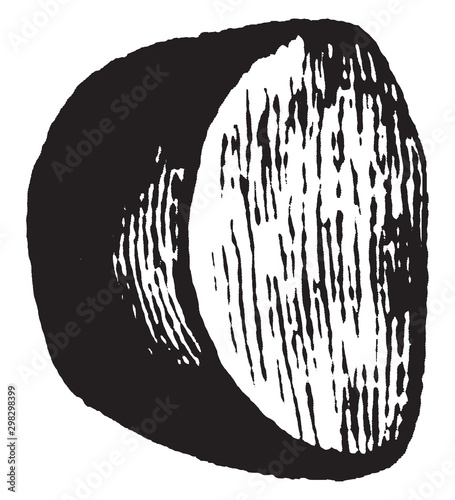 Seed-coat vintage illustration.