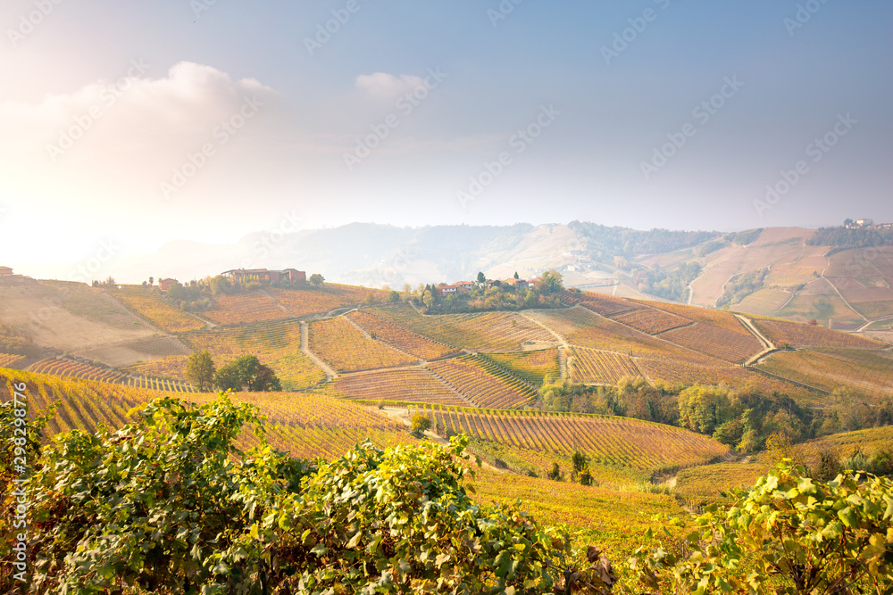 Langhe region, Piedmont, Italy. Autumn landscape with vineyards and rolling hills at sunset.
