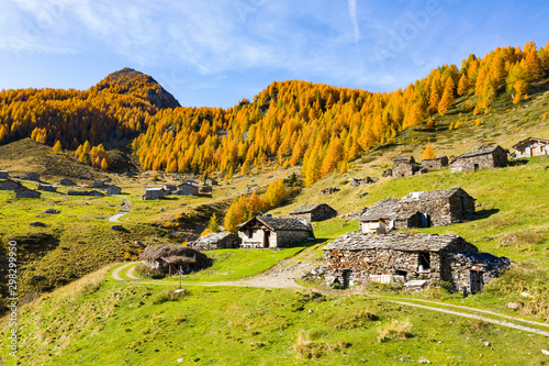 Valtellina (IT) - autumnal aerial view of the typical mountain huts at the Arcoglio alp