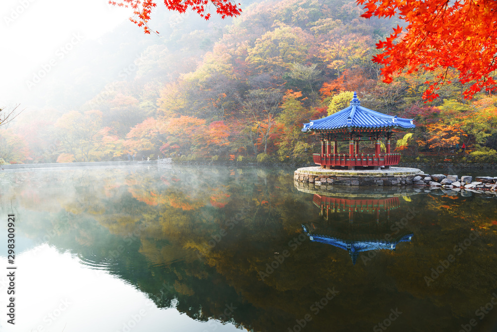 내장산 가을단풍 Stock Photo | Adobe Stock