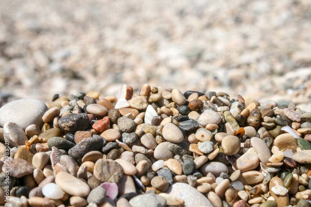 Small colored sea pebbles and shells against a blurred background Small colored sea pebbles and shells against a blurred background