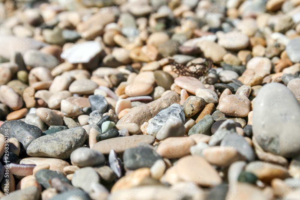 Background of small multicolored sea pebbles and seashells Background of small multicolored sea pebbles and seashells