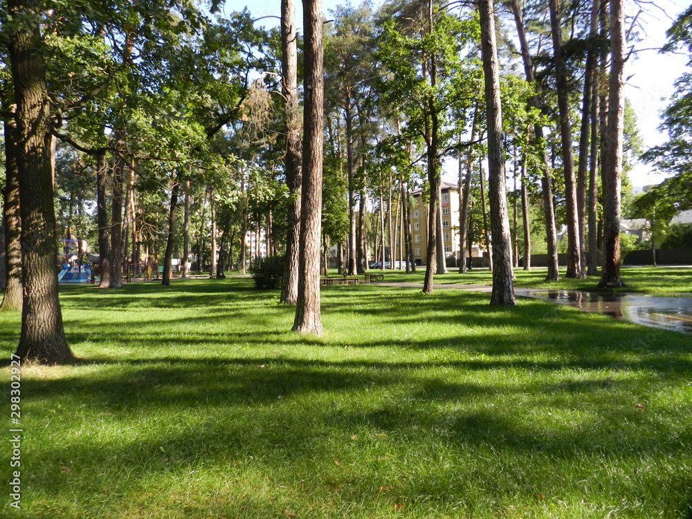 Central Park in the city of Irpin Central Park in the city of Irpin