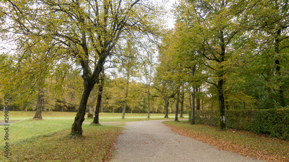 Autumn alley in a picturesque park.