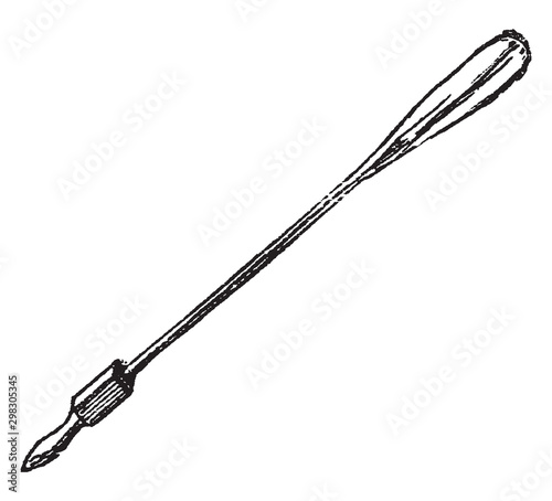 Oar, vintage illustration.