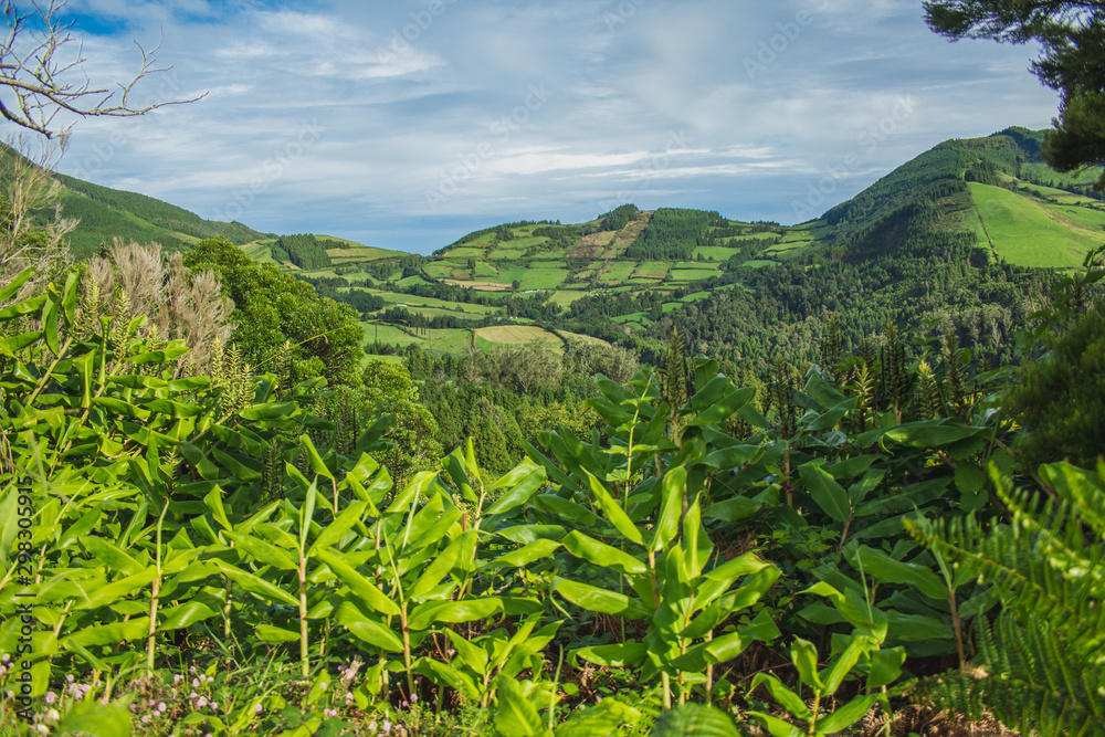 beautiful green wild landscape on the island of Sao Miguel, Azores, Portugal