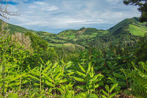 beautiful green wild landscape on the island of Sao Miguel, Azores, Portugal