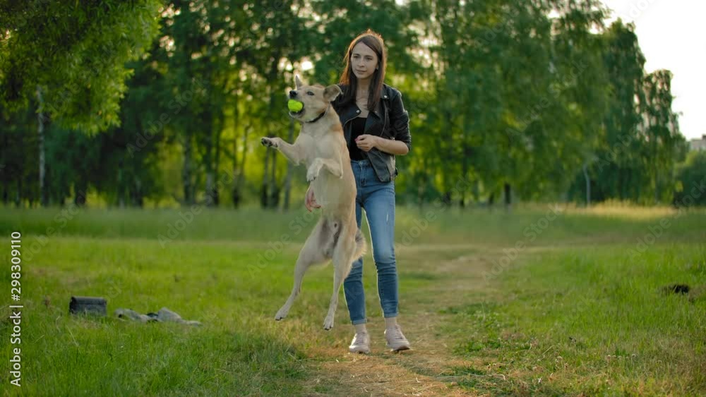 A beautiful girl in jeans and a black leather jacket throws the ball into the air. Her dog is jumping to catch the ball. Slow motion. Evening park. A beautiful girl in jeans and a black leather jacket throws the ball into the air. Her dog is jumping to catch the ball. Slow motion. Evening park.