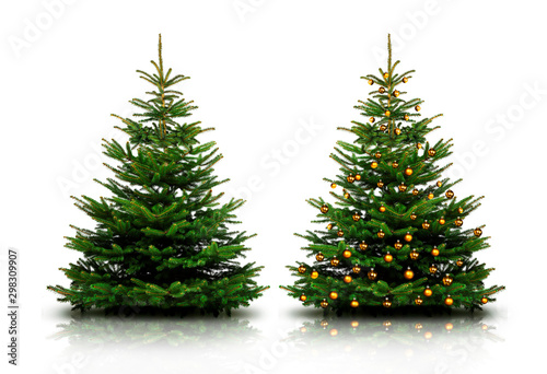 Gl  nzend Dekorierter Weihnachtsbaum mit Weihnachtskugeln