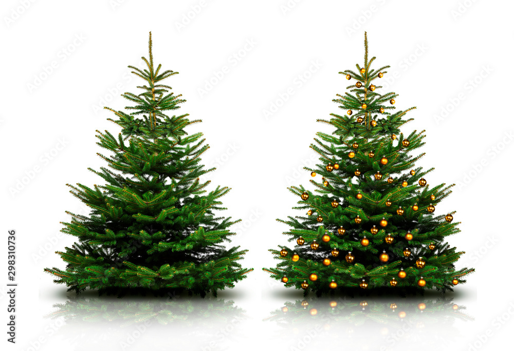 Fototapeta premium Glänzend Dekorierter Weihnachtsbaum mit Weihnachtskugeln
