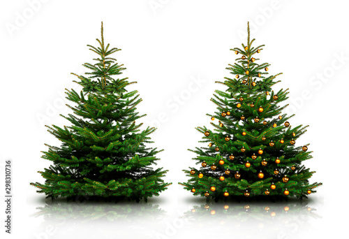 Glänzend Dekorierter Weihnachtsbaum mit Weihnachtskugeln photo