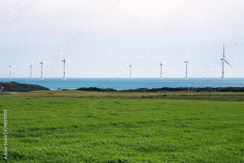 View of offshore wind turbines along the coast of Scotland on a cloudy summer morning. A cultivated field is in foreground.