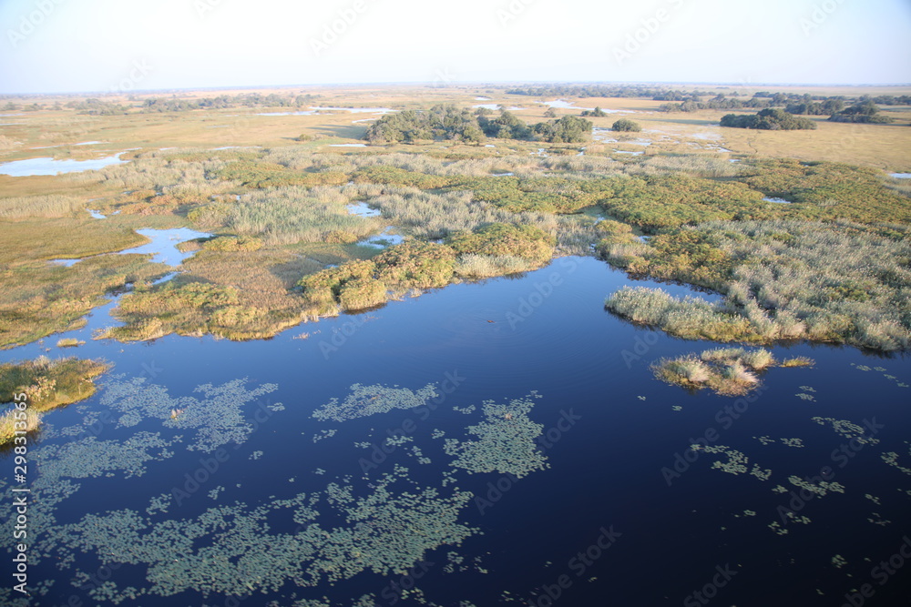 Aerial view of the Okavango Delta in Botswana, Africa