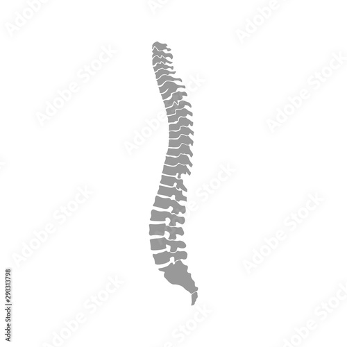 Strong healthy spinal cord vector icon illustration isolated on blue background