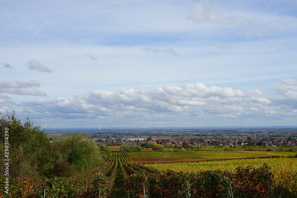 Sonnige, herbstliche Panoramalandschaft mit Blick über Weinberge auf Edenkoben in der Pfalz