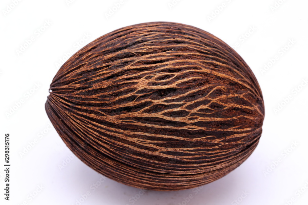 Cerbera odollam,pong pong seed Cerbera odollam,pong pong seed