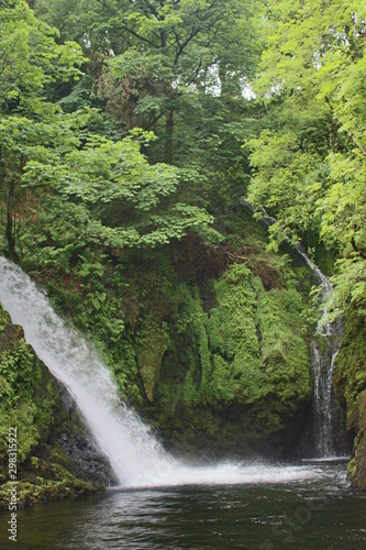 Llanberis waterfall in welsh forest