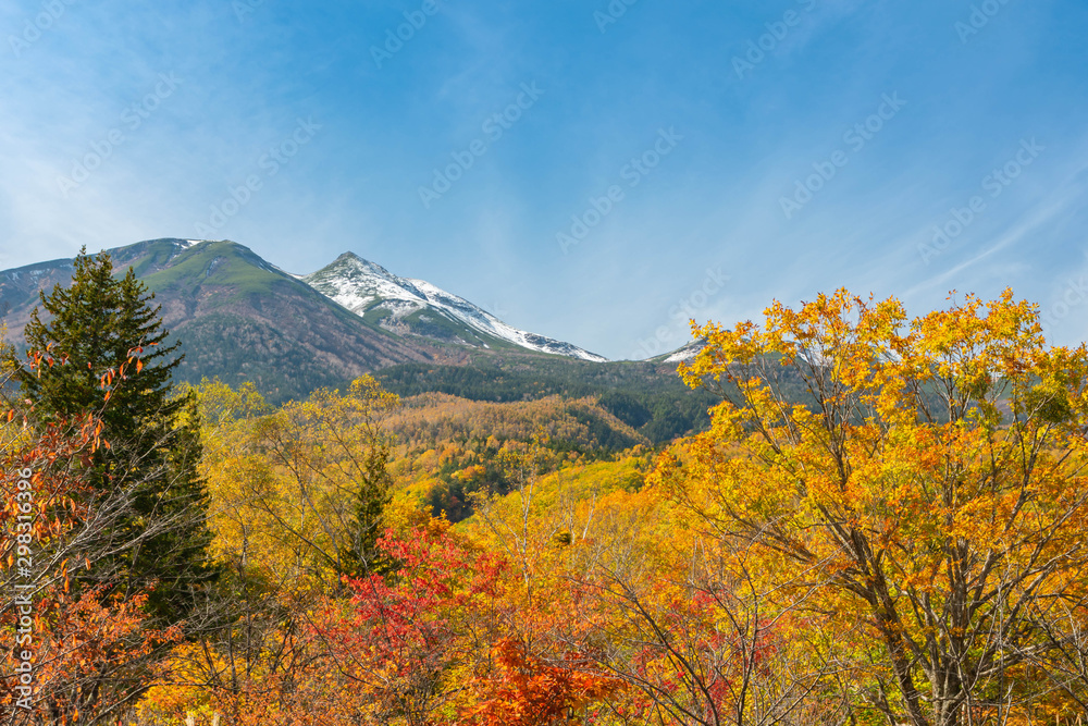 Fototapeta premium 秋の乗鞍高原