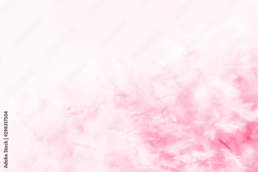 Beautiful abstract light pink feathers on white background, white feather frame on pink texture pattern and pink background, love theme wallpaper and valentines day, white gradient Beautiful abstract light pink feathers on white background, white feather frame on pink texture pattern and pink background, love theme wallpaper and valentines day, white gradient