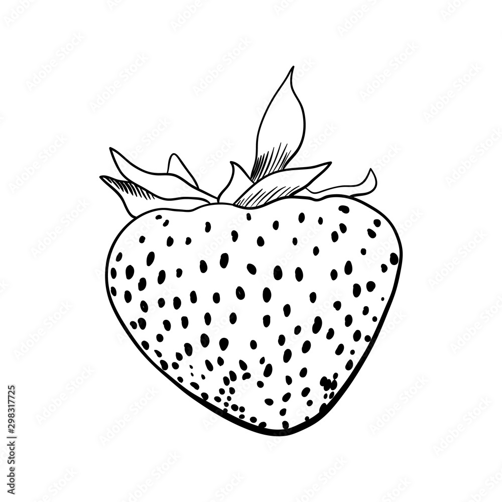 Fototapeta premium Hand drawn strawberry. .sketch for print. isolated on white background.