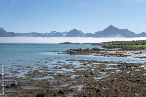 shore at Melbu and fog bank in Hadselfjord  Norway