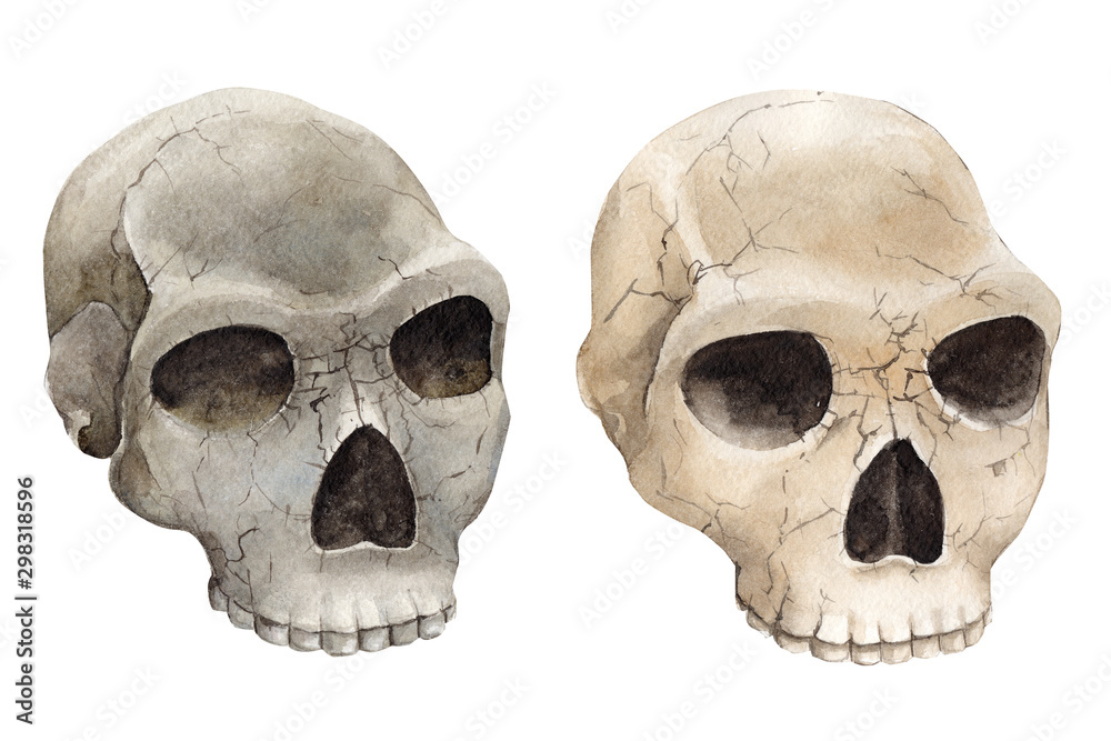 Fototapeta premium halloween postcard, skull watercolor illustration, clipart