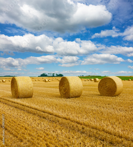 Yellow golden straw bales of hay in the stubble field, agricultural field under a blue sky with clouds