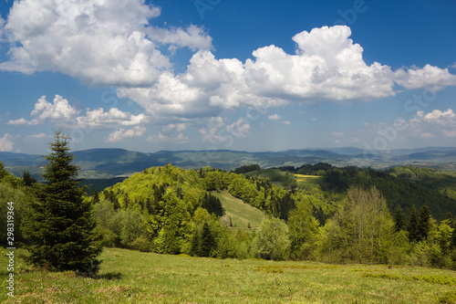 Fototapeta Naklejka Na Ścianę i Meble -  Mountain Landscape in May. Beskid, Poland.