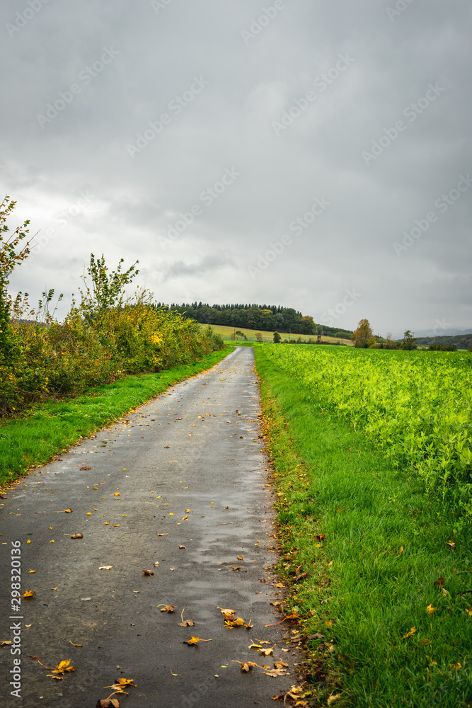 geteerter Feldweg an einem grünem Feld im Herbst