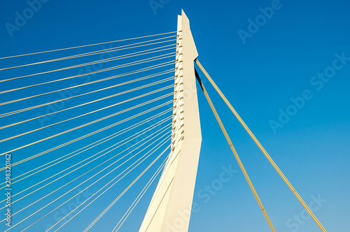 Fototapeta Naklejka Na Ścianę i Meble -  Erasmus Bridge,  Rotterdam, Netherlands