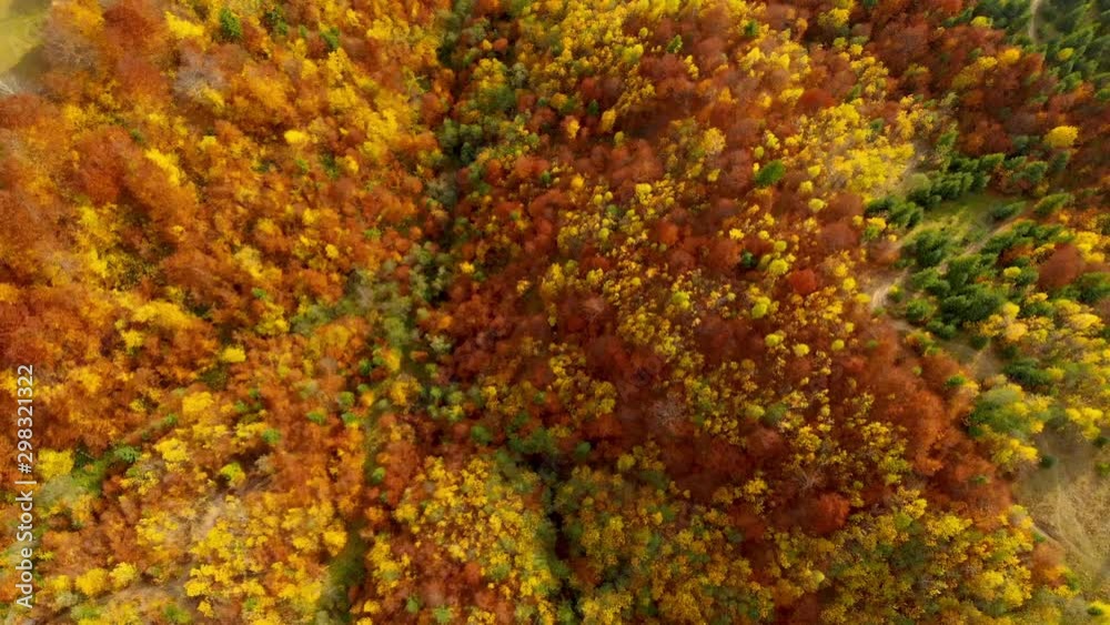 Drone flight over fall forest. Autumn leaves and trees. Orange, Red, Yellow and Green beautiful scene. Drone flight over fall forest. Autumn leaves and trees. Orange, Red, Yellow and Green beautiful scene.