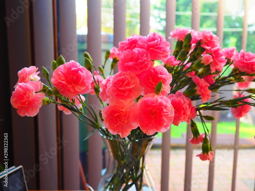  Pink Carnations Bouquet 