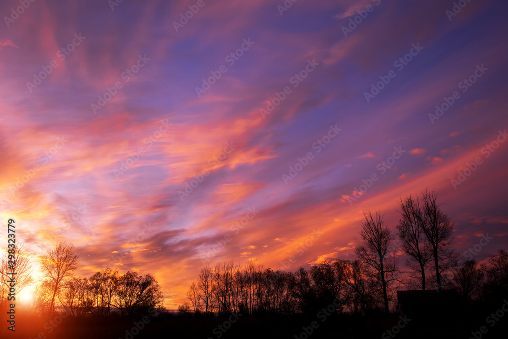Silhouettes of autumn trees on the background of brightly colored evening sunset clouds. Silhouettes of autumn trees on the background of brightly colored evening sunset clouds.