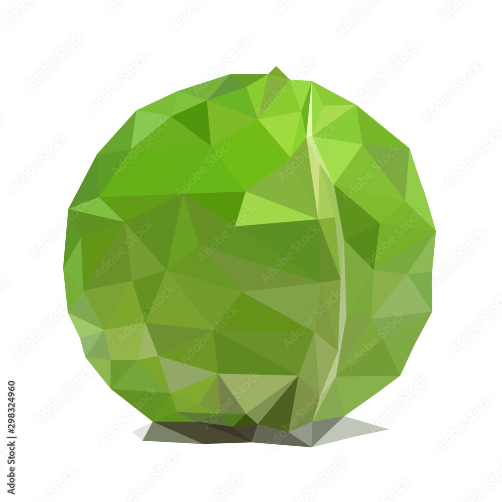 cabbage polygonal vector illustration isolated cabbage polygonal vector illustration isolated