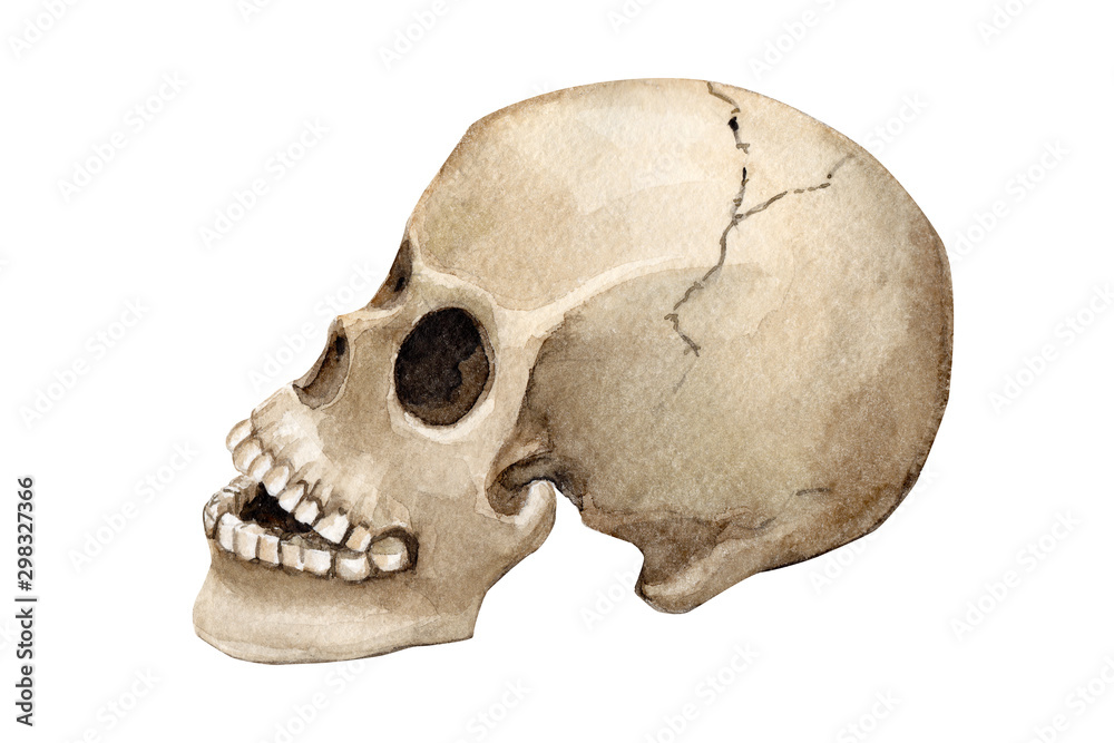 Naklejka premium halloween postcard, skull watercolor illustration, clipart