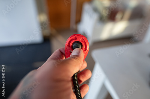 Принти на полотні dog clicker is ready for training