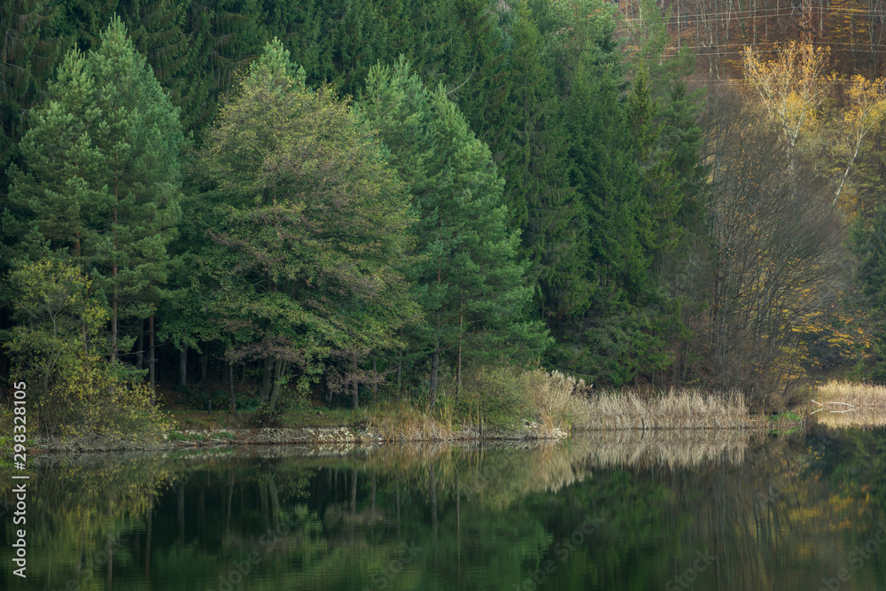 Forest reflection in lake in late autumn