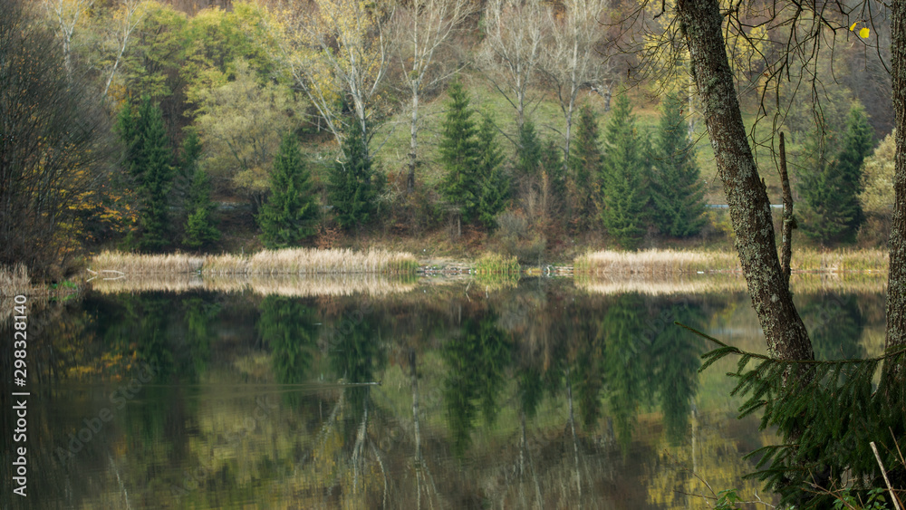 Reflection of pine trees in lake, with focus on the tree to the right