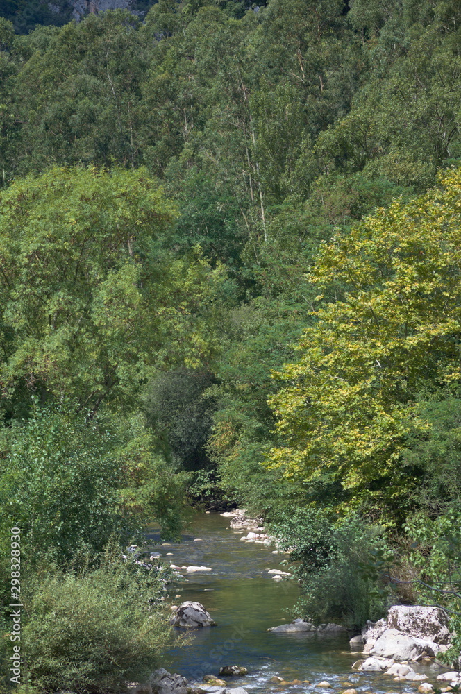 Naklejka premium The river Deva