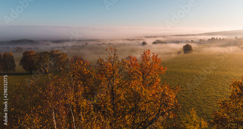 Aerial view to colorful autumn foliage trees with misty fog on meadow and blue sky  Czech landscape  colored photo