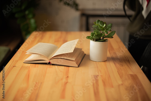 A pot of concrete. Flower in a concrete pot on a wooden table in a cafe. Flower and open book on the table close-up and copy space.