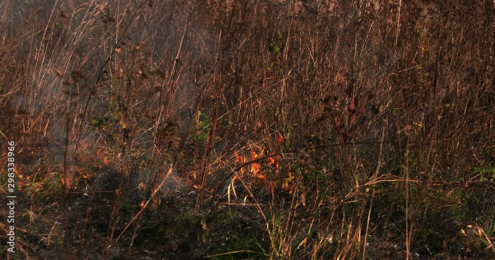 Burning grass. Ecological problem. Earth on fire. Burning grass. Ecological problem. Earth on fire.