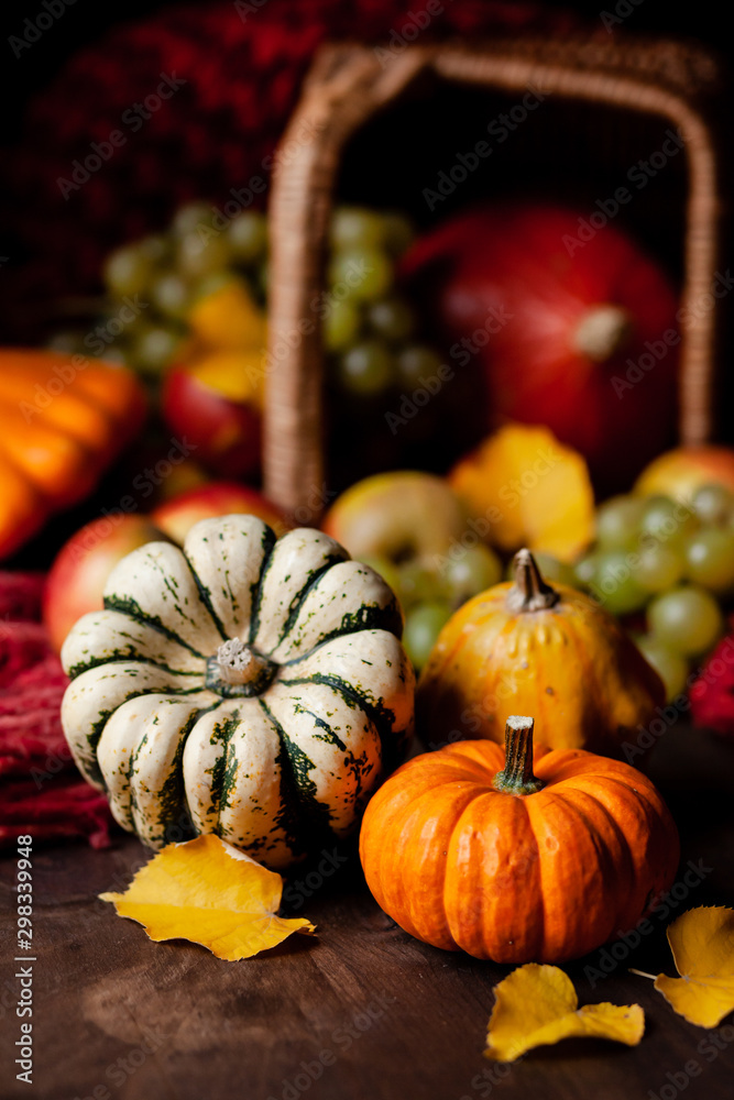 Autumn, harvest time. Composition with ripe organic pumpkins, apples, red scarf and yellow leaves. Basket on background. Low key, dark and moody Autumn, harvest time. Composition with ripe organic pumpkins, apples, red scarf and yellow leaves. Basket on background. Low key, dark and moody
