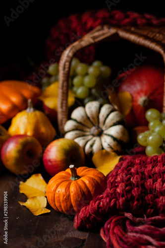 Autumn  harvest time. Composition with ripe organic pumpkins  apples  red scarf and yellow leaves. Basket on background. Low key  dark and moody